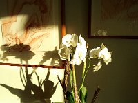 2013-10-11 18.20.12  The light, the light!!!